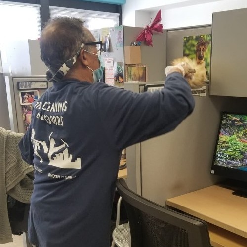 Office Cleaning